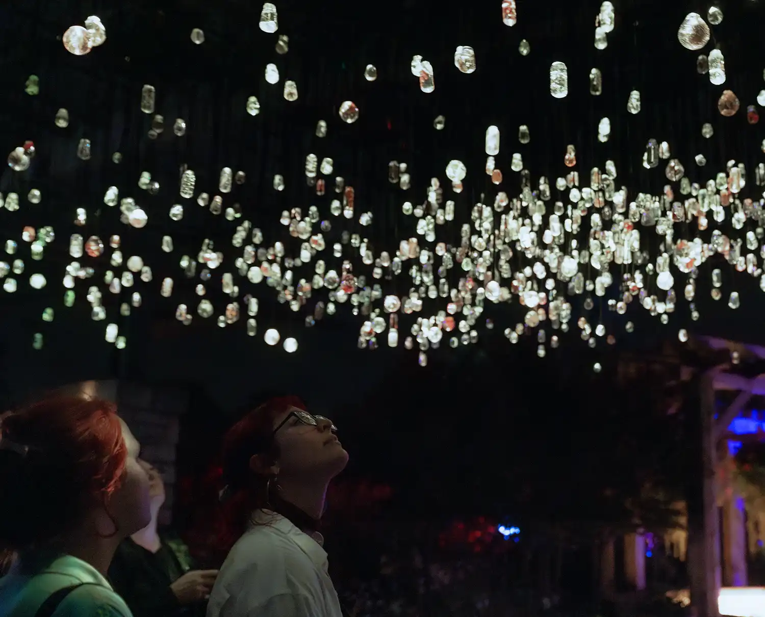 Tapscott's Light Art: 1,200 Resin Bulbs Magnify Foraged Flora