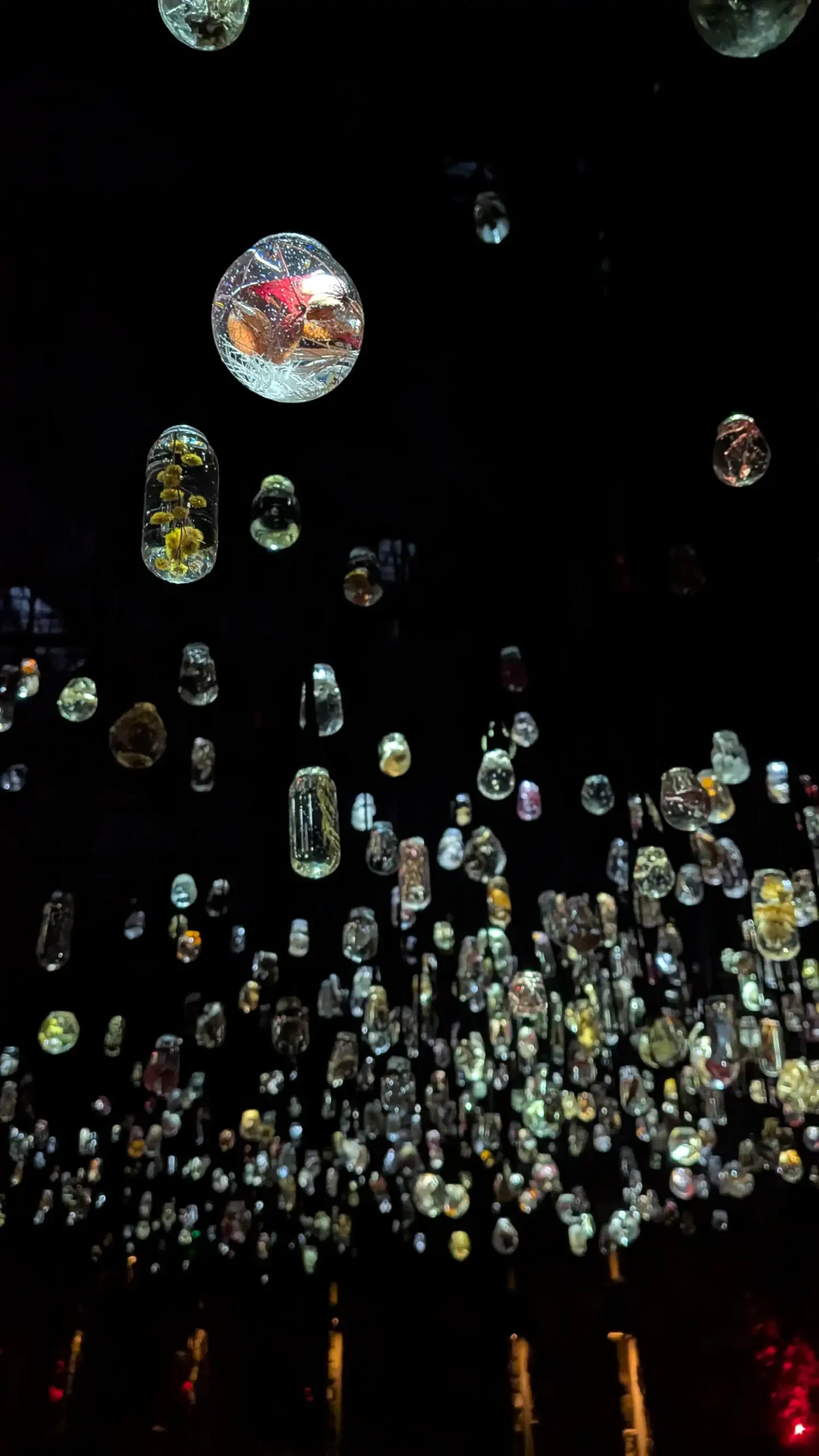 Tapscott's Light Art: 1,200 Resin Bulbs Magnify Foraged Flora
