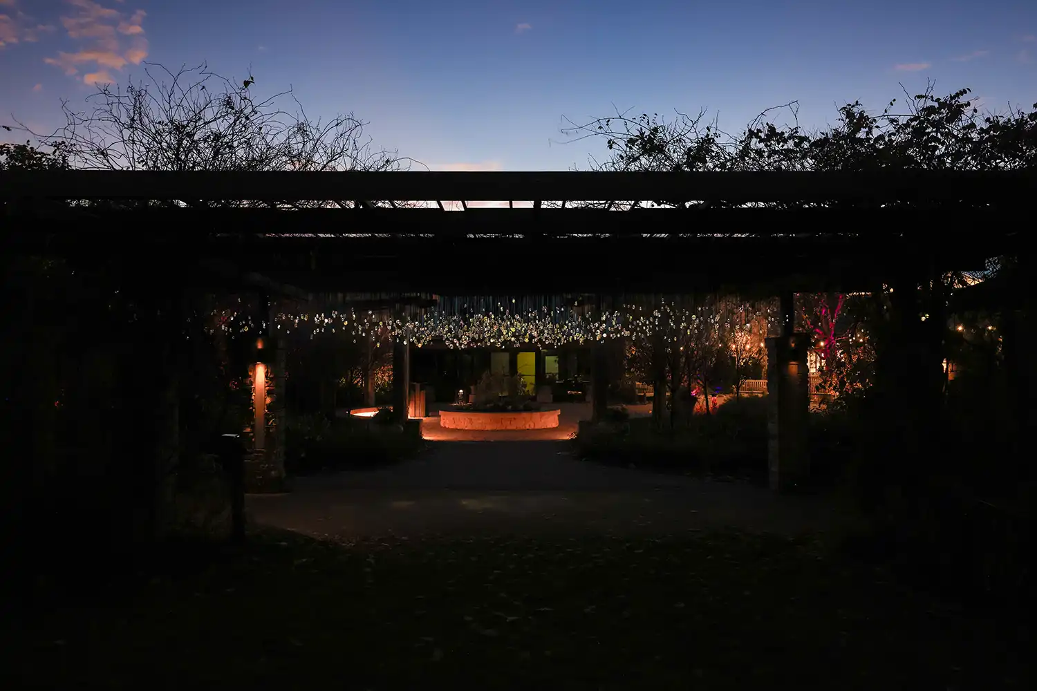 Tapscott's Light Art: 1,200 Resin Bulbs Magnify Foraged Flora