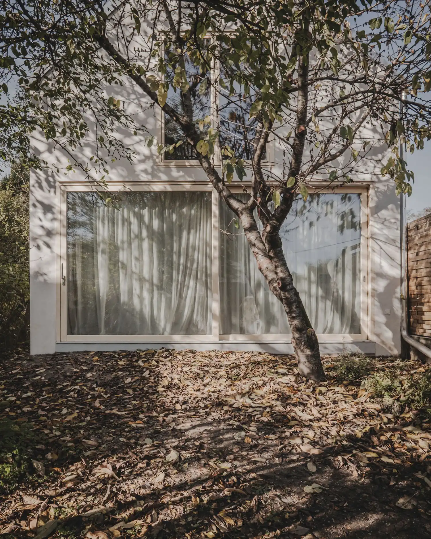 Hempcrete House: Projectroom's Sustainable, Low-Impact Szentendre Home