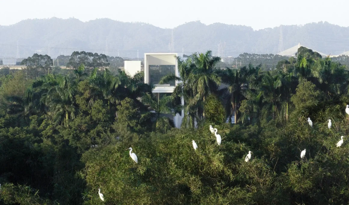 An aerial view of the Shunde Yunlu Wetland Museum by Studio Link-Arc, featuring stacked, rotated concrete volumes with green roofs nestled within the dense canopy of Yunlu Wetland Park in Shunde, China.