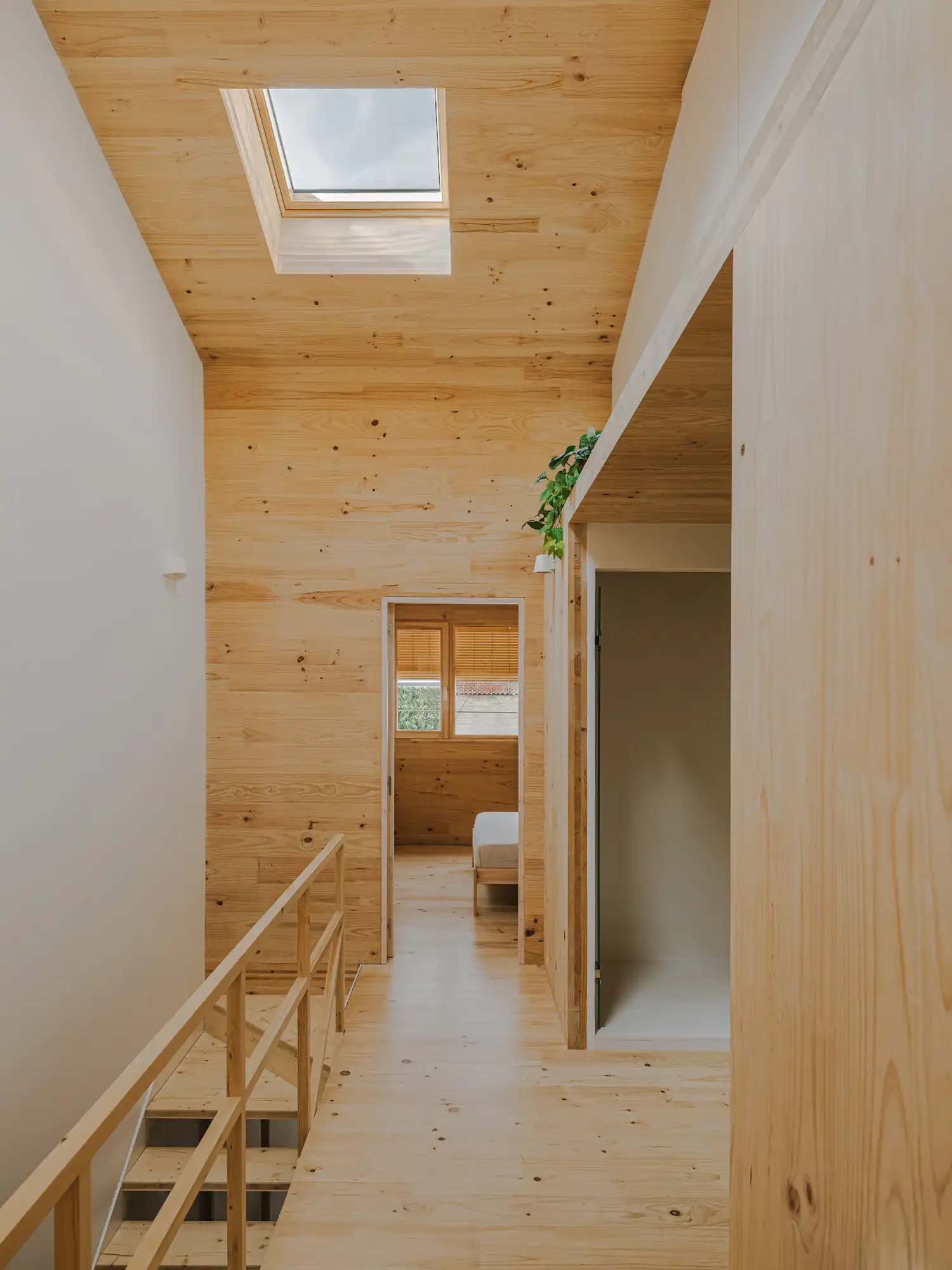 Upper floor corridor of 130AUS made entirely of cross-laminated timber (CLT) with a skylight and a view into a bedroom.