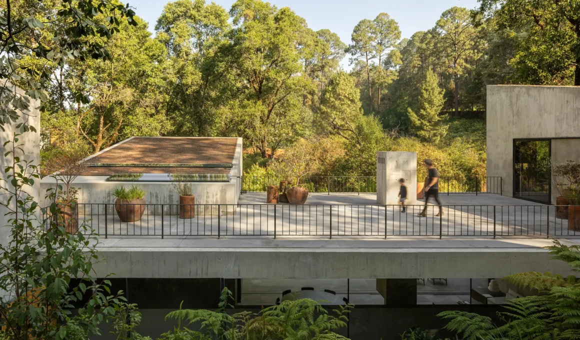 A concrete roof terrace with black railings overlooking a lush forest in Avándaro.