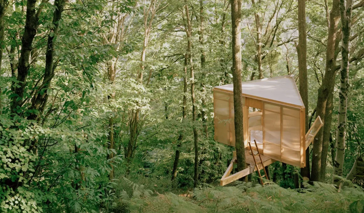 An equilateral triangular timber cabin suspended within the dense forest canopy of Valle Onsernone, featuring translucent walls and an integrated ladder for access.