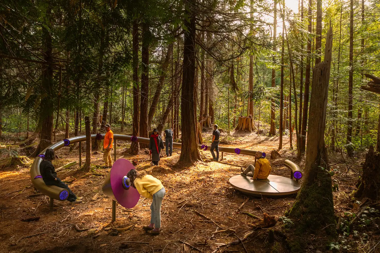 Wide view of participants interacting with the Forest Mixer installation among tall trees.