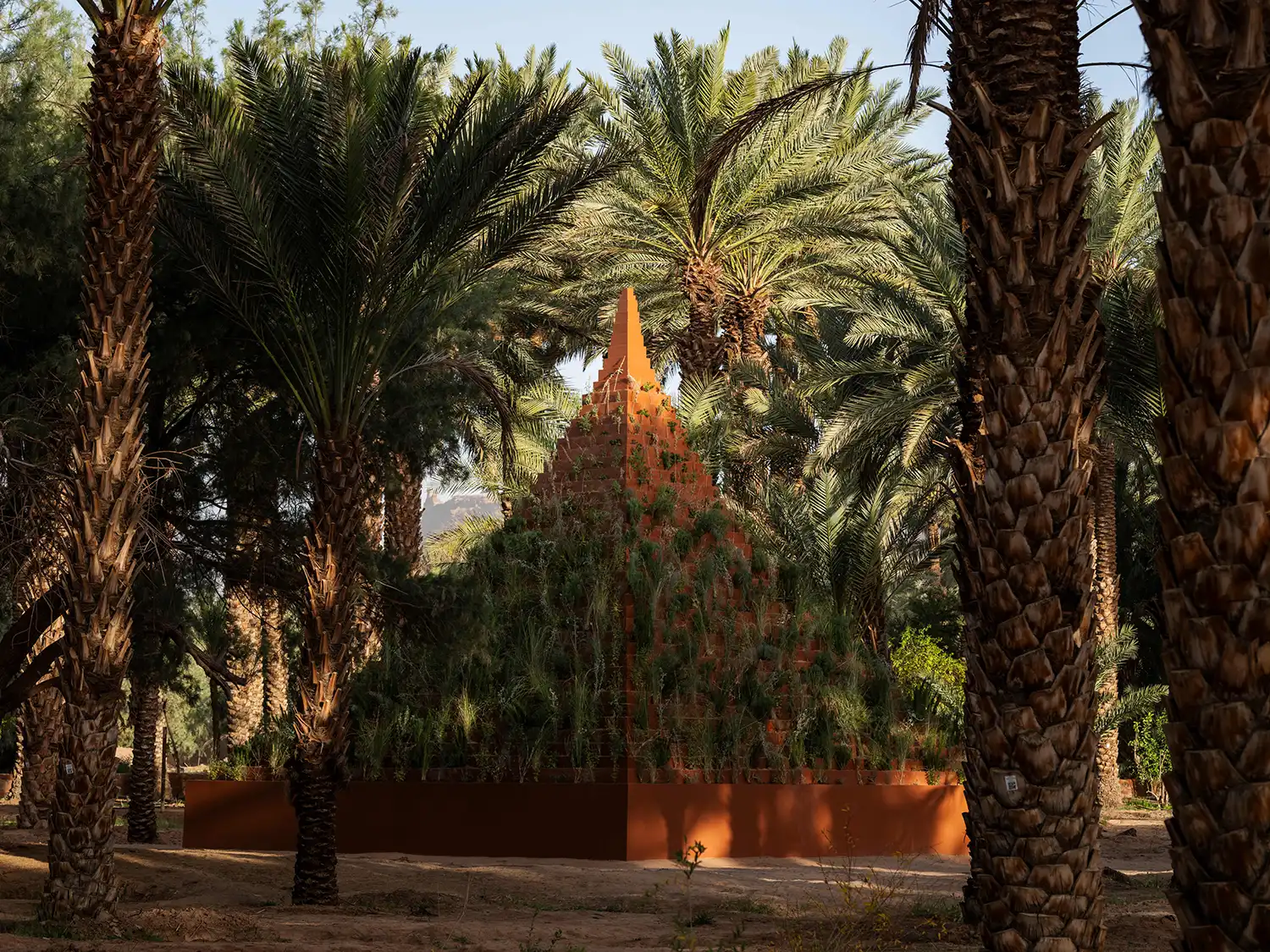 A triangular pyramid made of earth modules with desert plants growing from its sides, set within a lush AlUla palm grove.