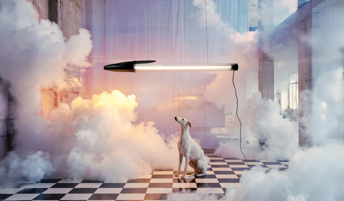 A black Bic Cristal pendant lamp suspended in a surreal, cloud-filled room with a checkered floor and a dog.