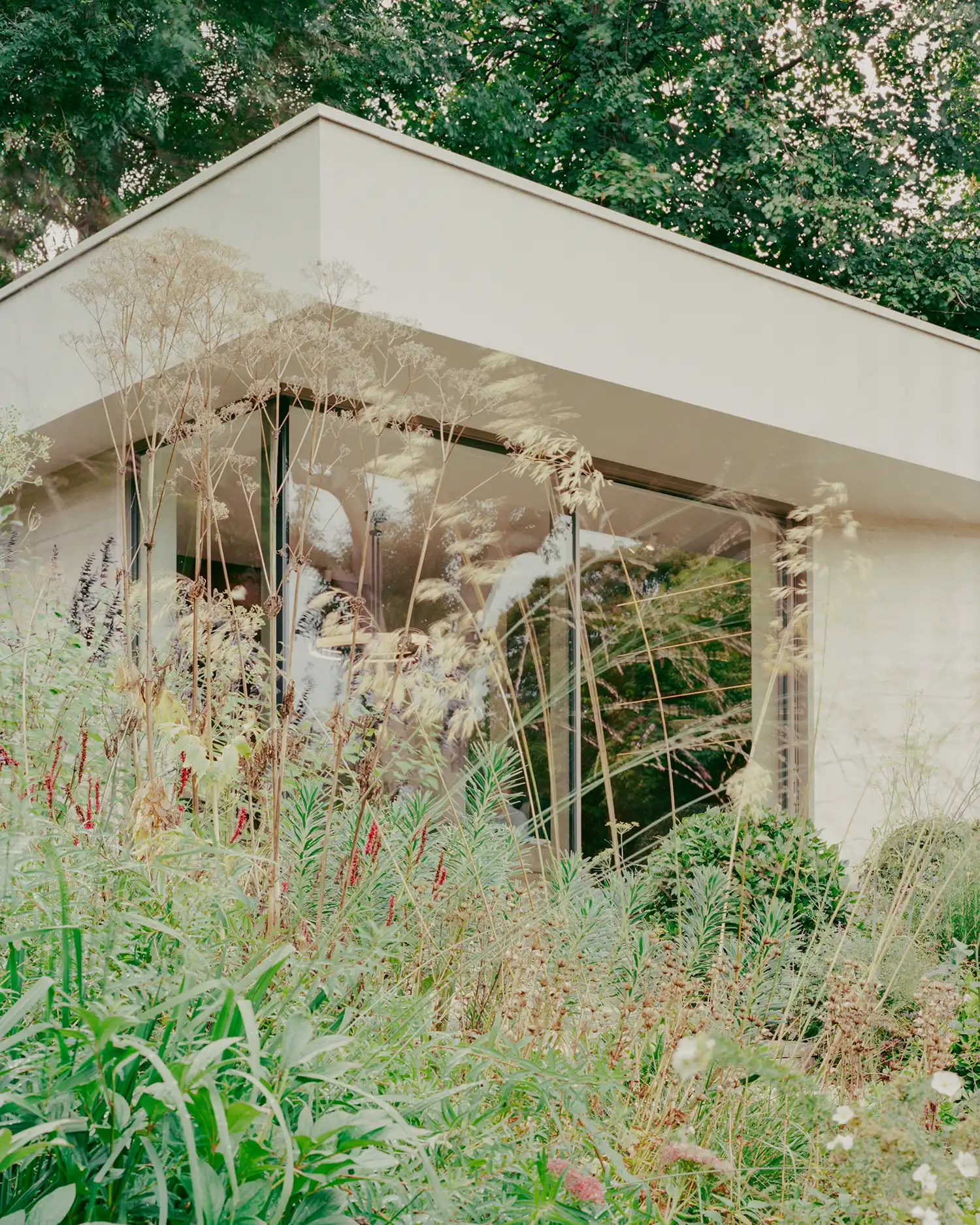 Garden annex building with floor-to-ceiling glass and stone cladding surrounded by wild meadow planting.