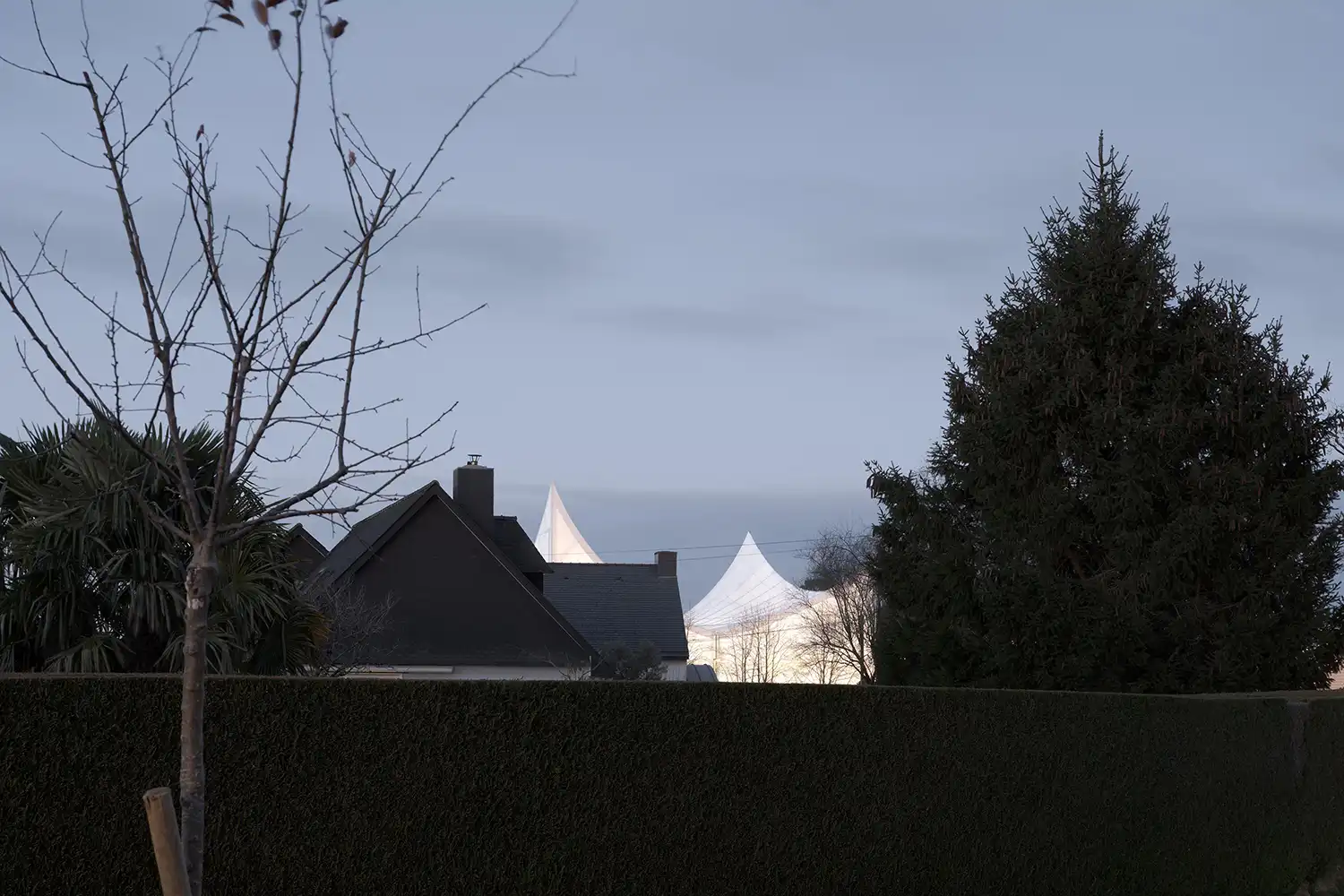 The glowing textile peaks of the sports center at dusk behind a residential hedge.