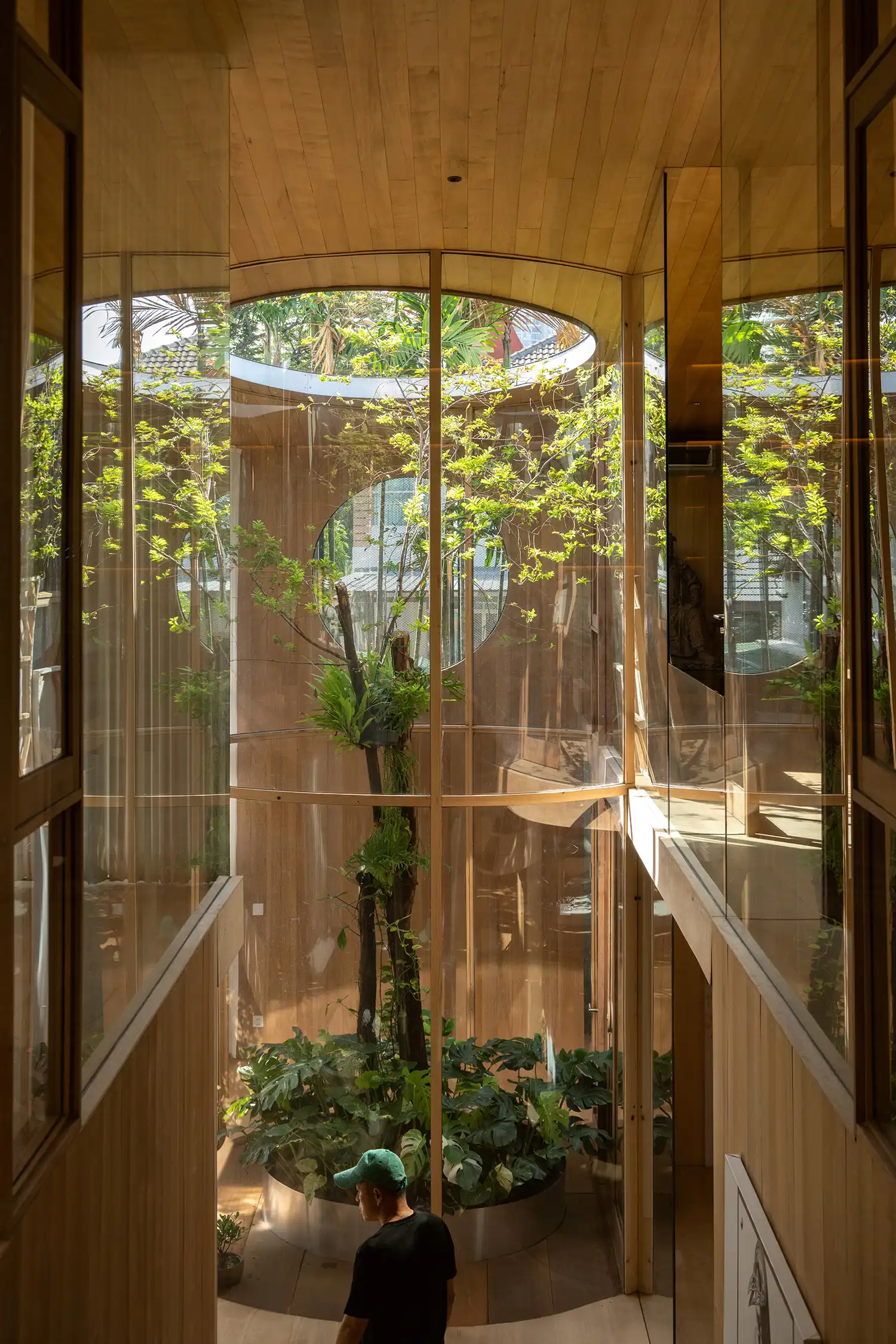 Looking down into a glass-encased indoor garden with a person standing nearby.