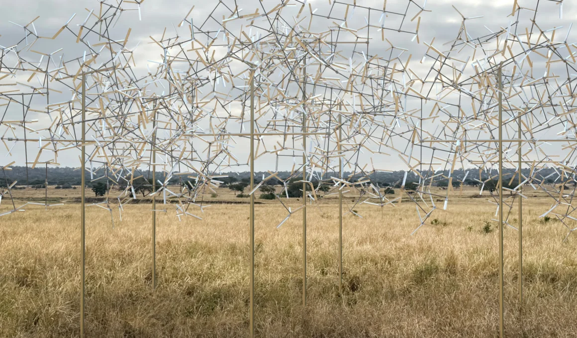 Kinetic fractal sculpture by Vincent Leroy in the Tanzanian plains.