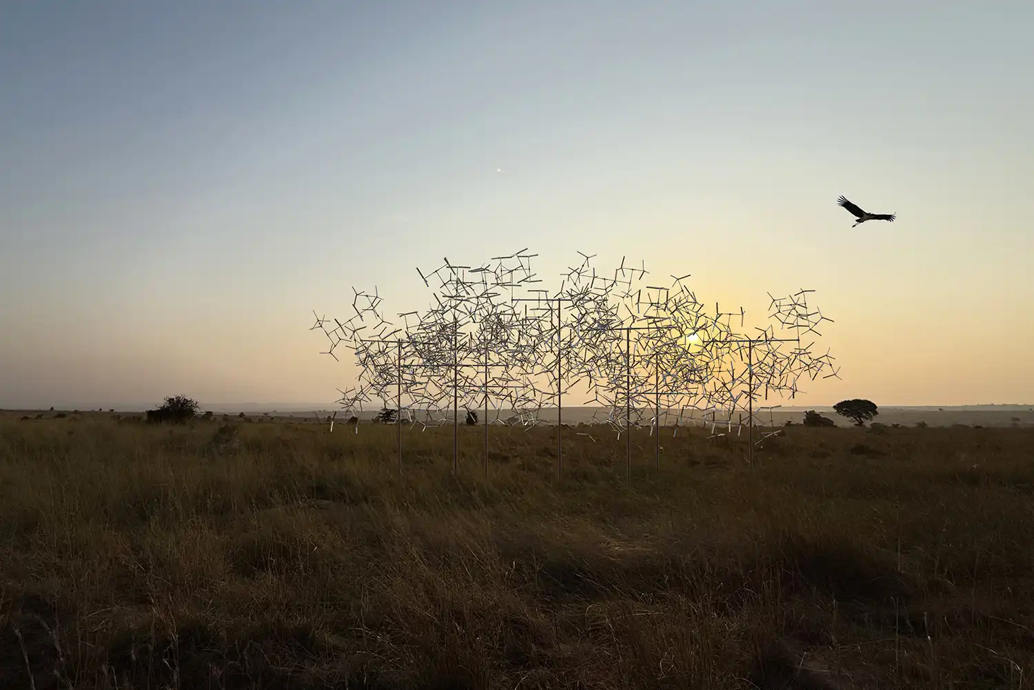 Sunset view of Vincent Leroy’s Fractal Swarm with a bird flying nearby.