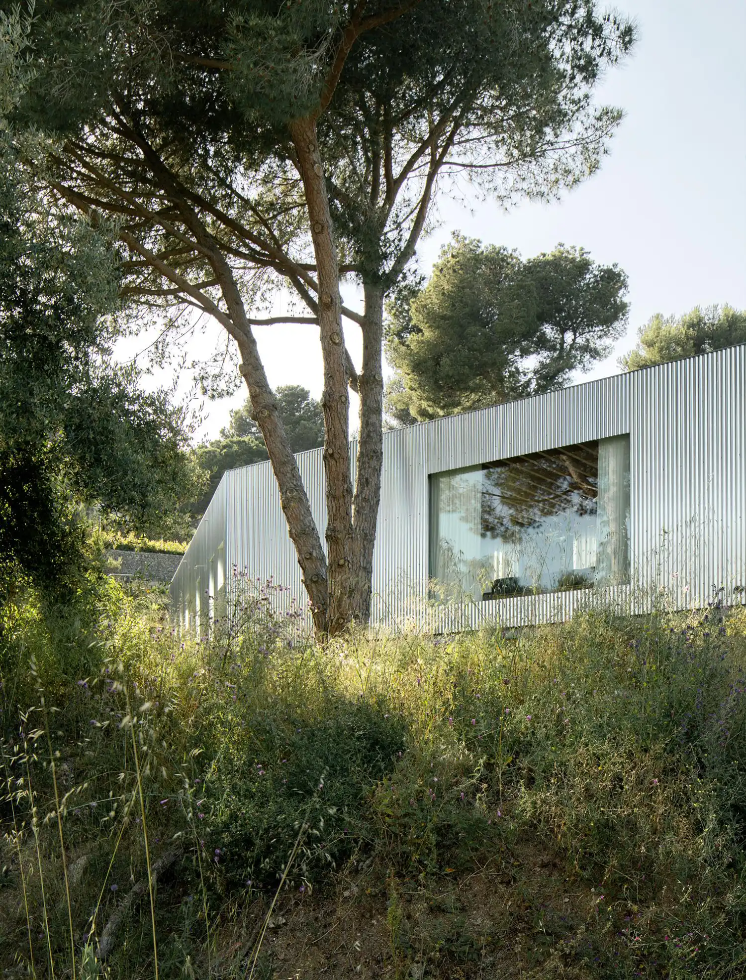 View of the long corrugated steel facade partially obscured by tall pine trees and wild hillside vegetation.
