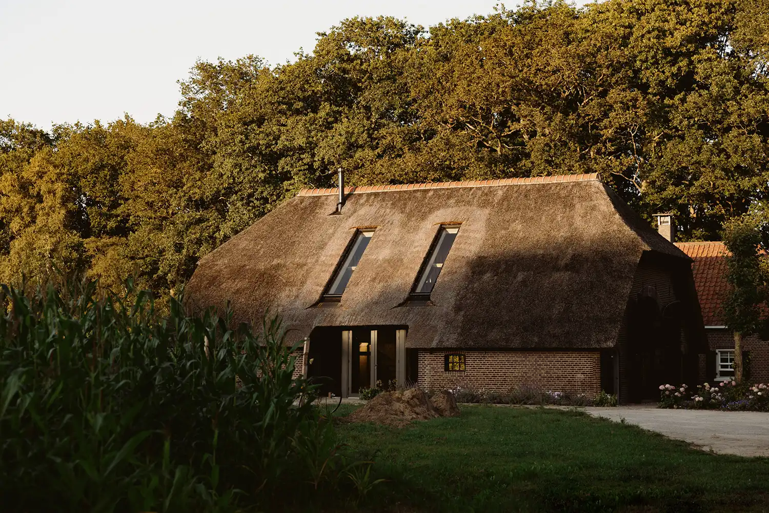 Historic barn with a thick thatched roof, brick walls, and integrated skylights at sunset.