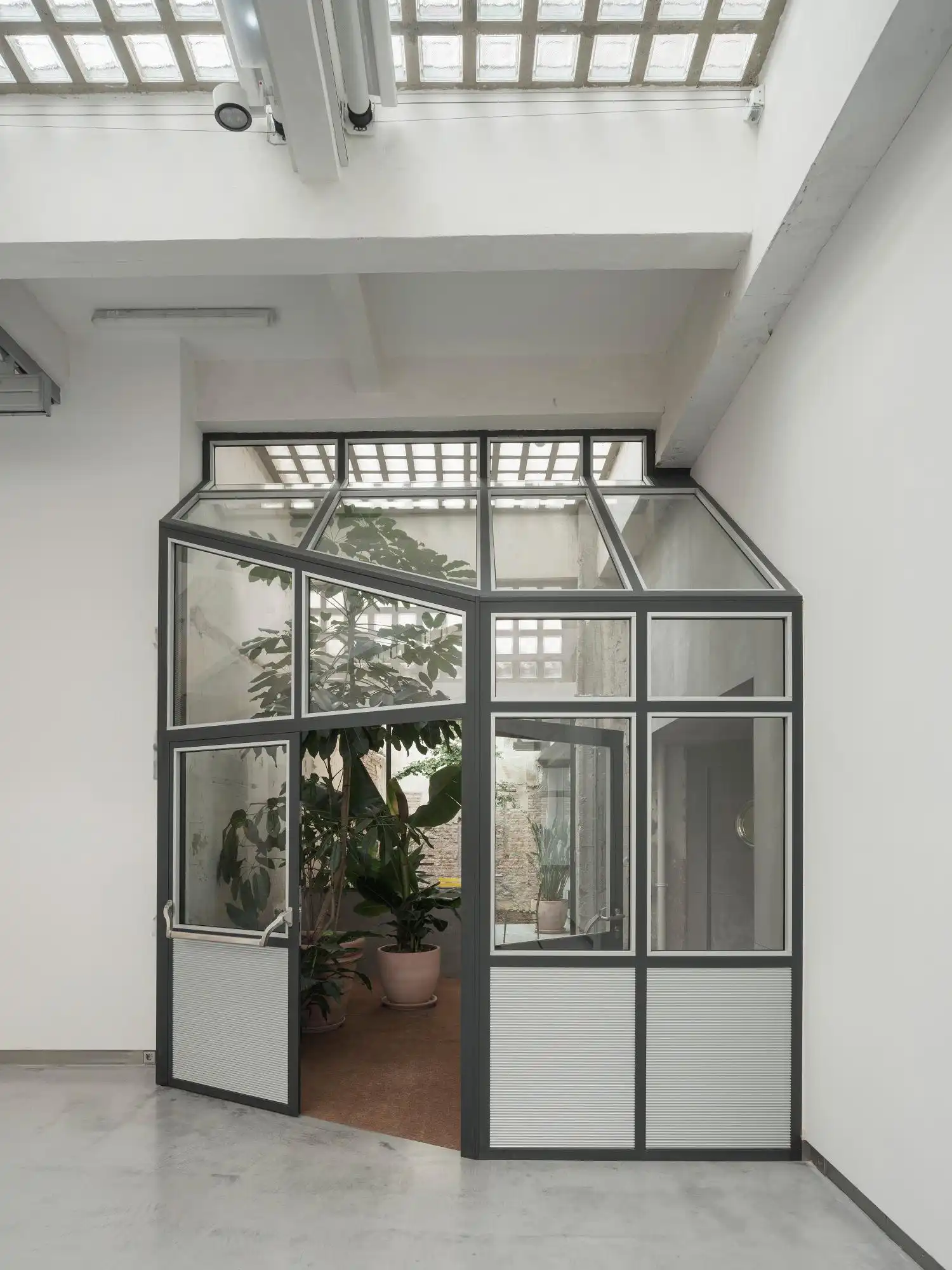A glass and metal greenhouse structure containing large leafy plants inside a white gallery space.