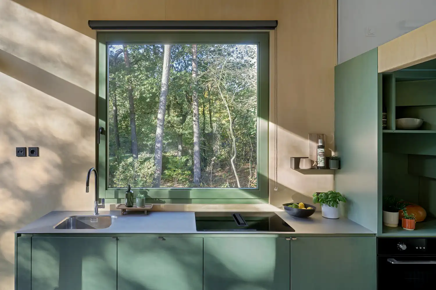 A frontal view of the linear kitchen inside the Lounge Lodge, showing the green cabinetry, steel counter, integrated hob, sink, and a framed forest view.