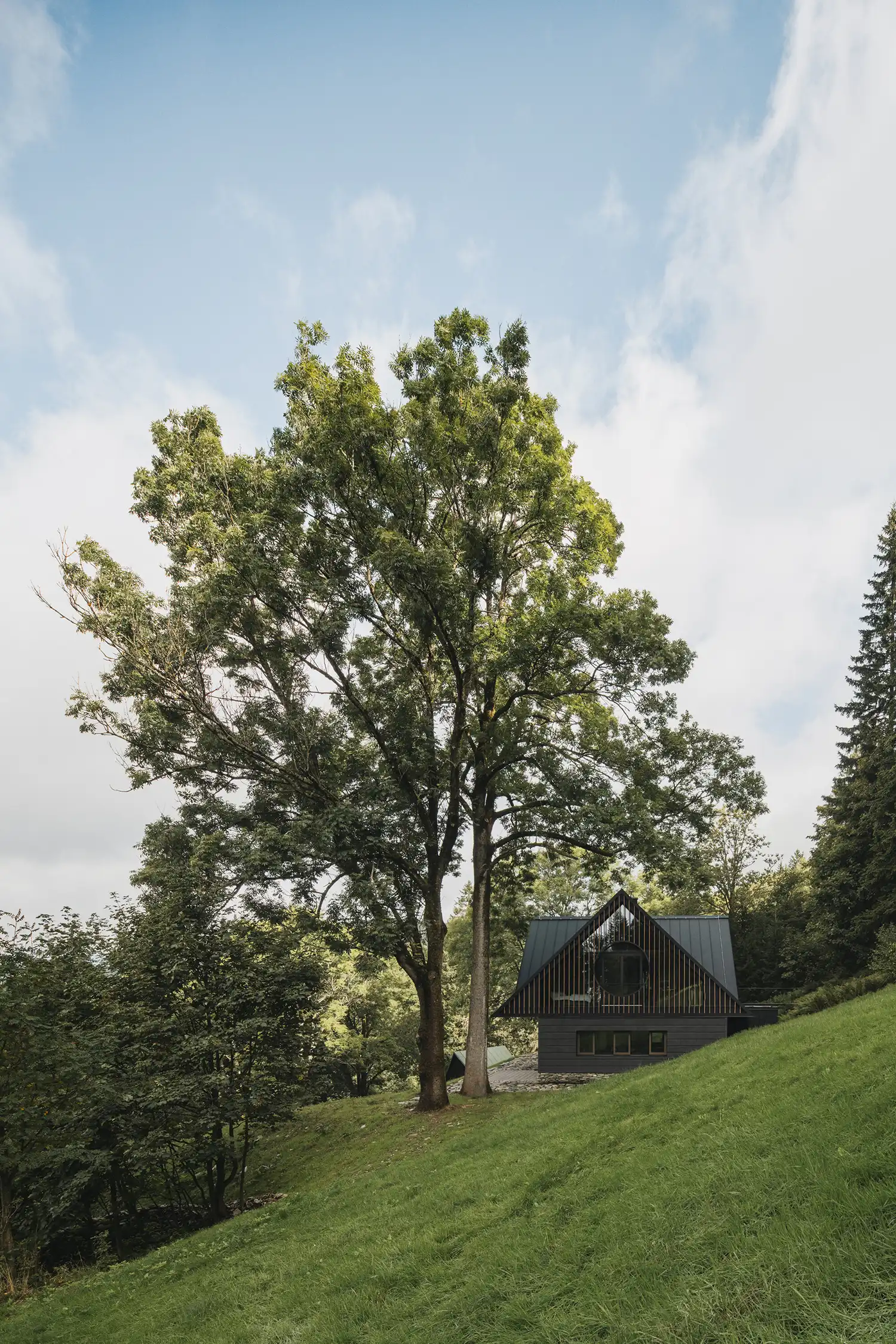 Remote view of Strážné Cottage by Mimosa Architects nestled among tall trees on a mountain slope.