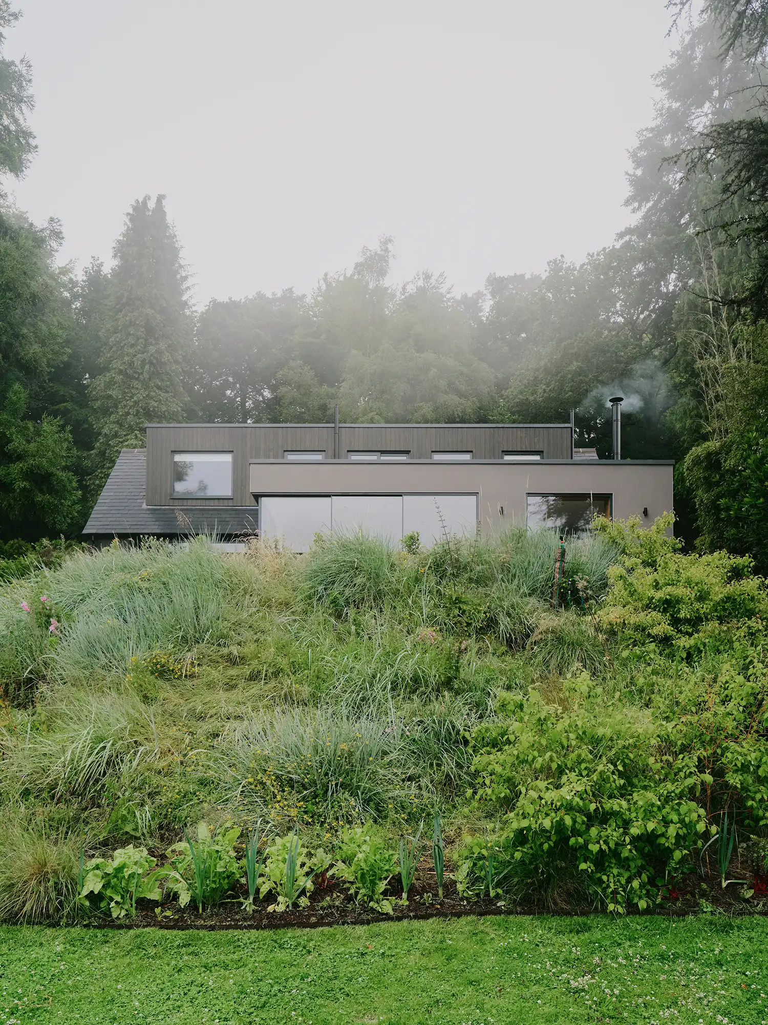 Exterior view of Beech Cottage from a distance, showing the dark timber and pale render additions nestled behind a lush permaculture hillside.