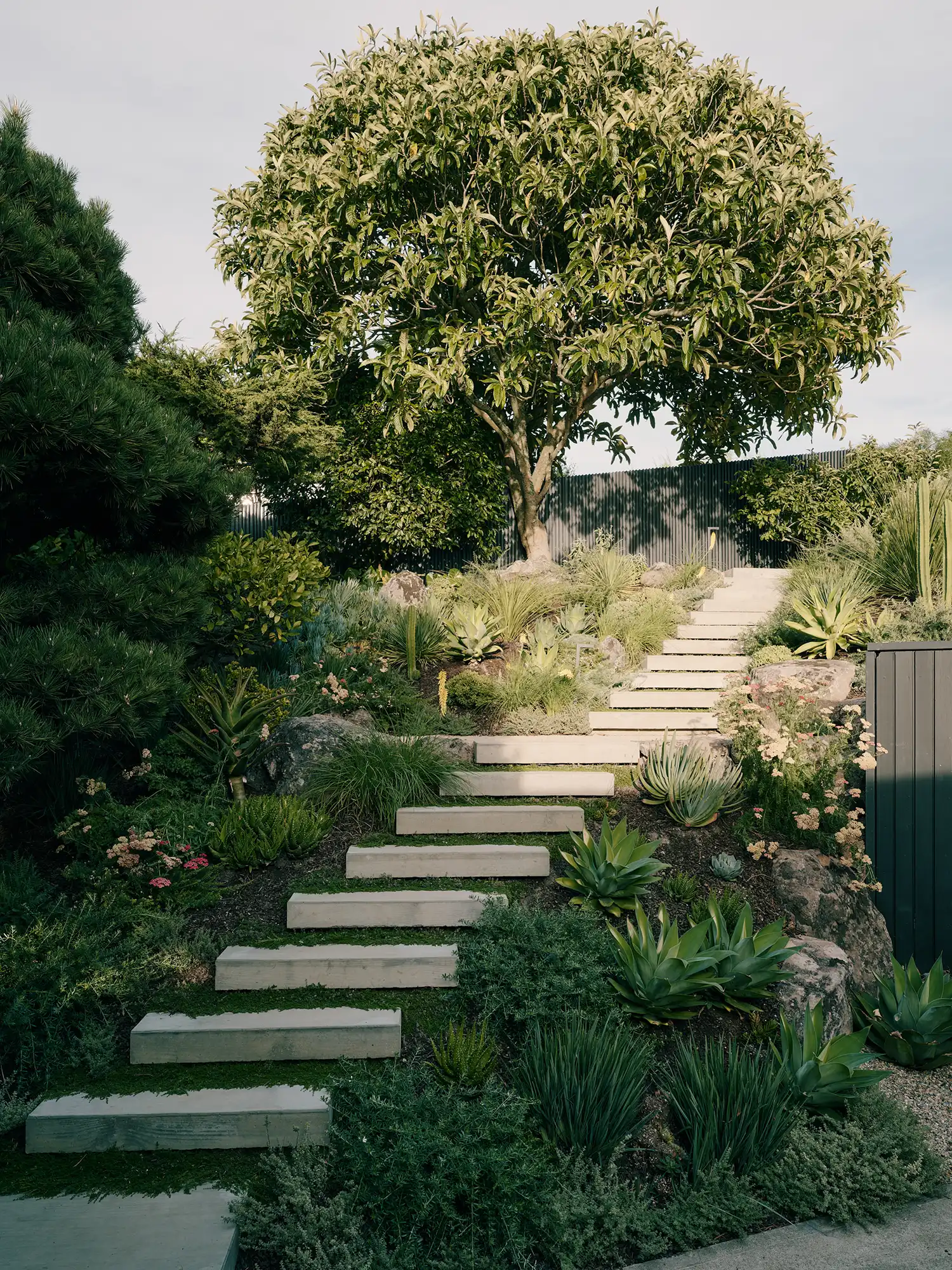 Concrete outdoor stairs winding through a lush, landscaped garden with succulents.