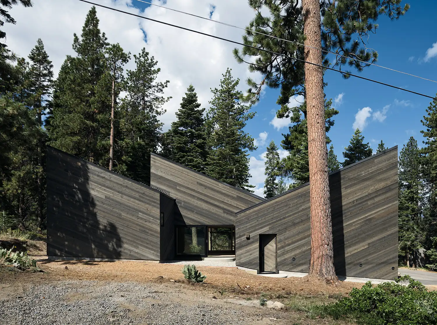 Exterior of Staggered Cabin featuring dark-stained cedar cladding and multiple shed-roofed volumes nestled among Jeffrey Pines.