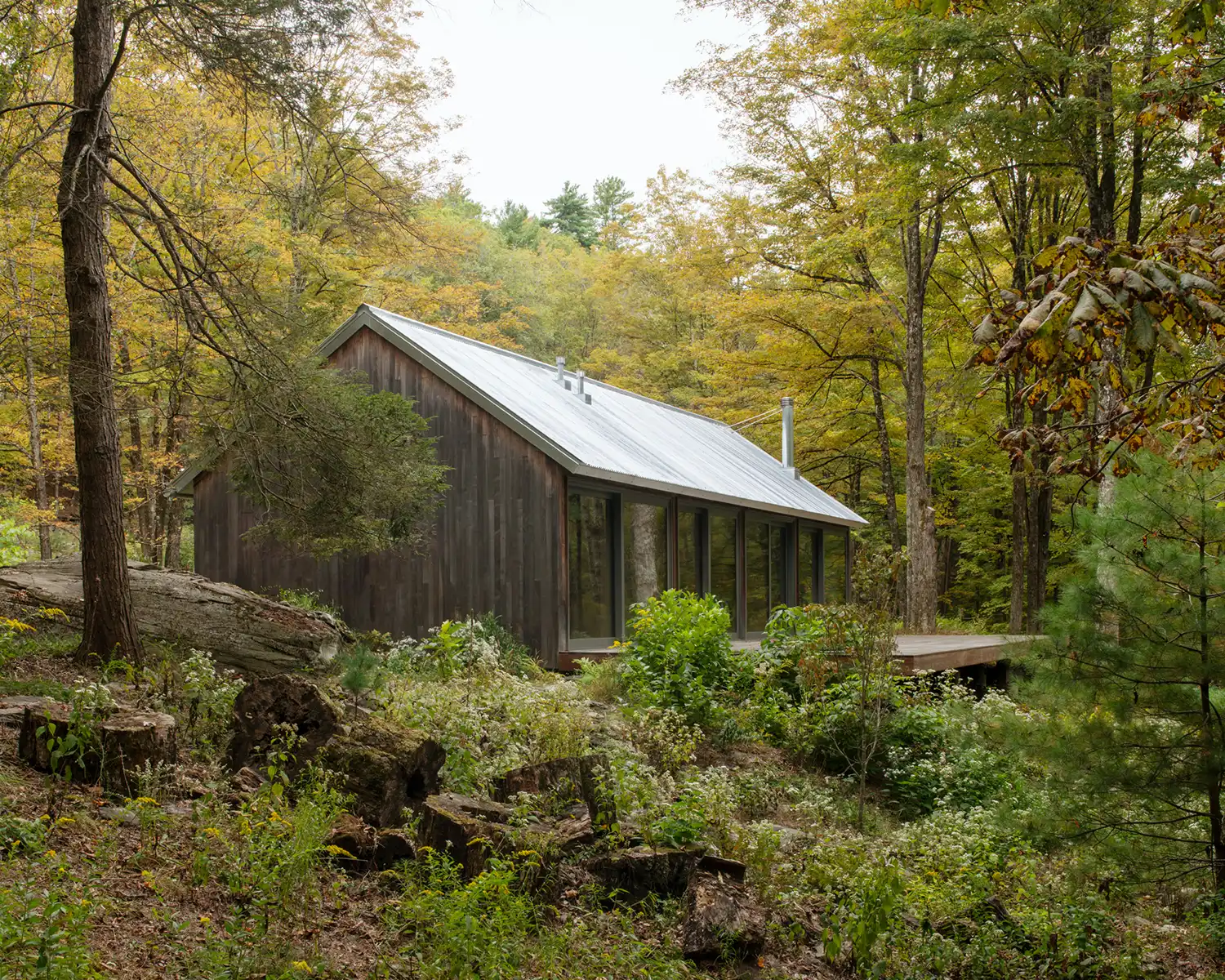 Side profile of a wood-clad guest house with a corrugated metal roof in a meadow.