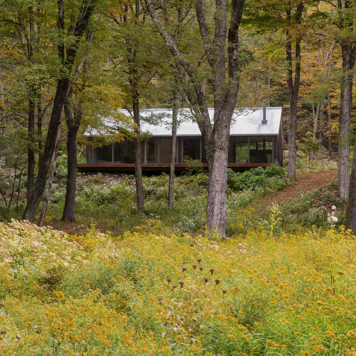 Long horizontal studio building seen through a forest of deciduous trees.