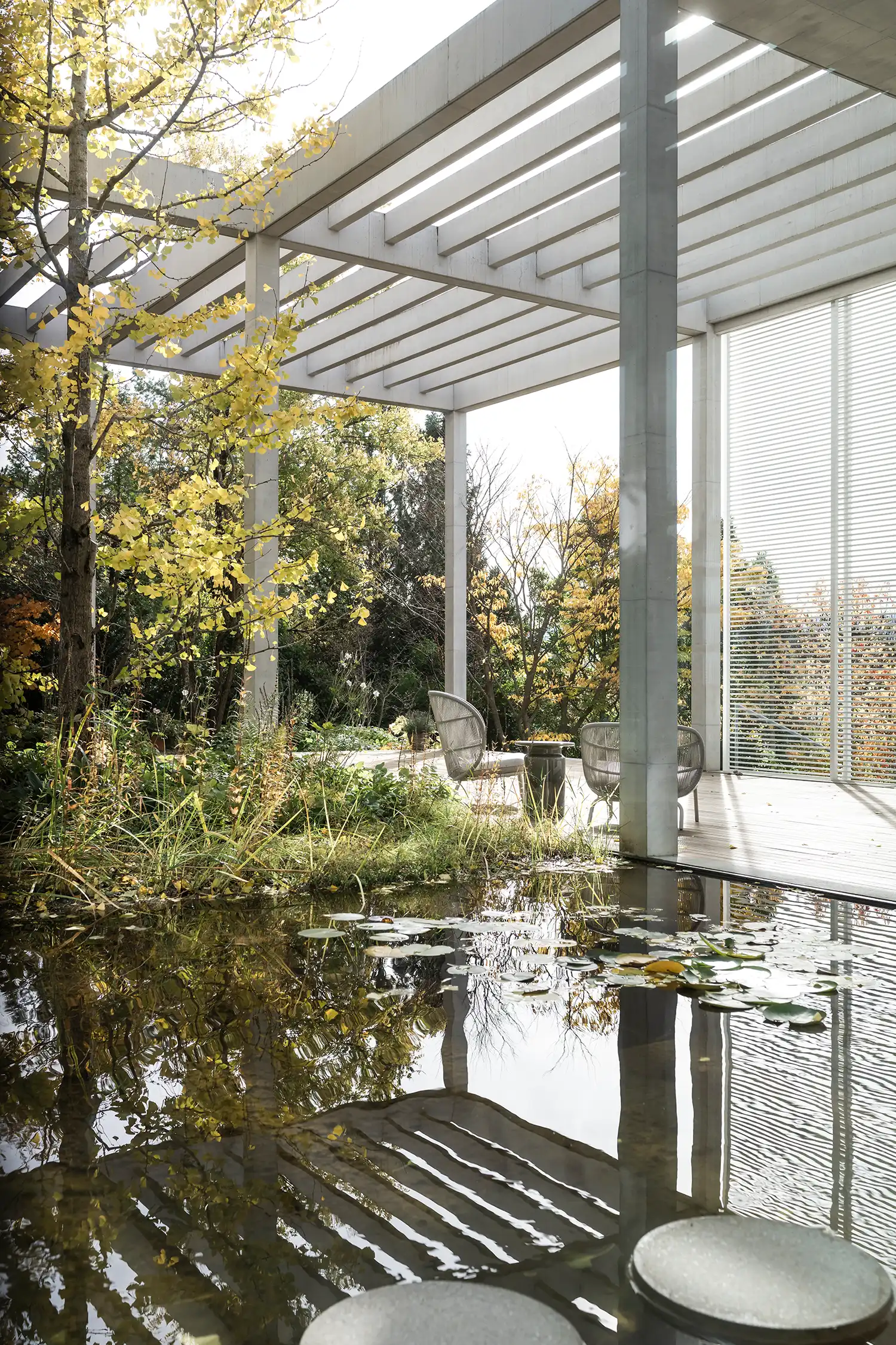 Exterior atrium water basin ginkgo tree Atrium Villa Zurich NOA Network of Architecture