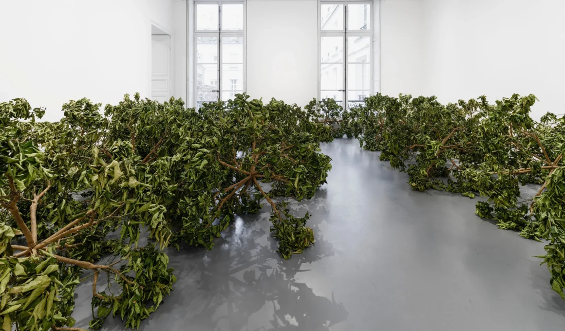 Wide view of star-shaped lemon tree branches spread across a gray gallery floor at Perrotin Paris.
