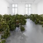 Wide view of star-shaped lemon tree branches spread across a gray gallery floor at Perrotin Paris.