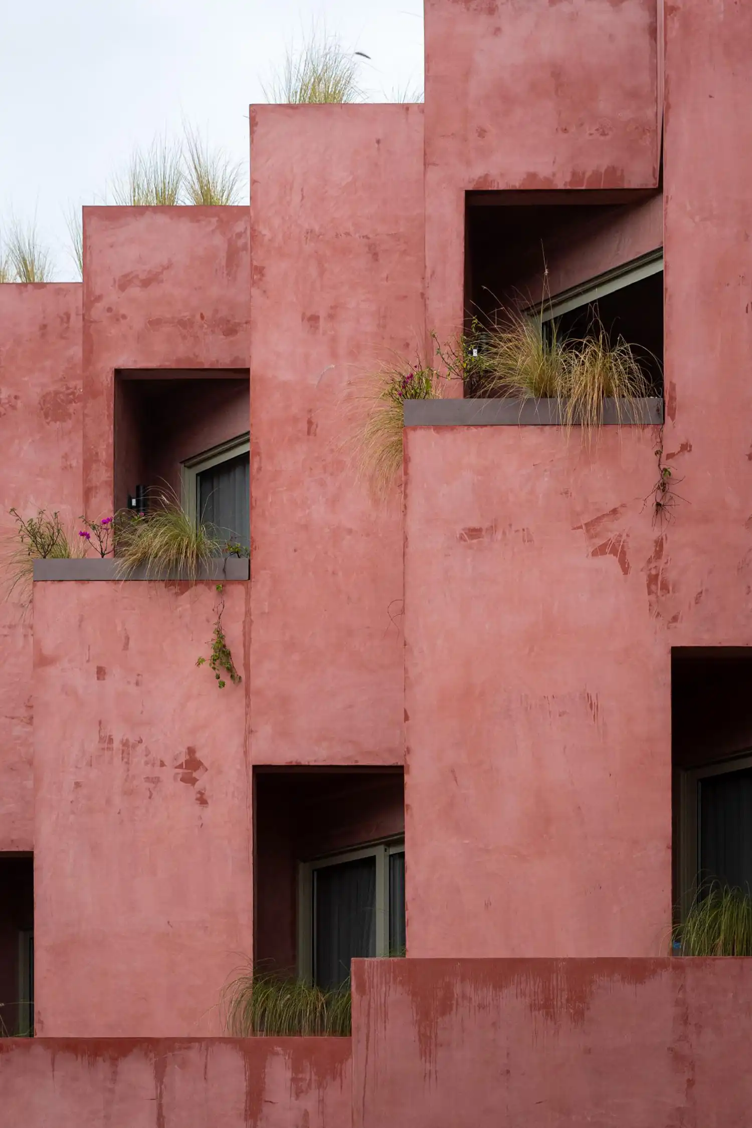 Close-up of the stepped pink stucco volumes with native grasses in planters.