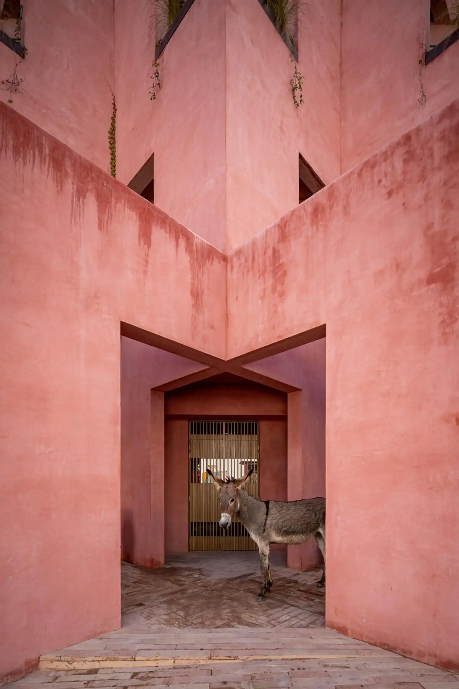 A donkey standing in a symmetrical pink stucco arched doorway.