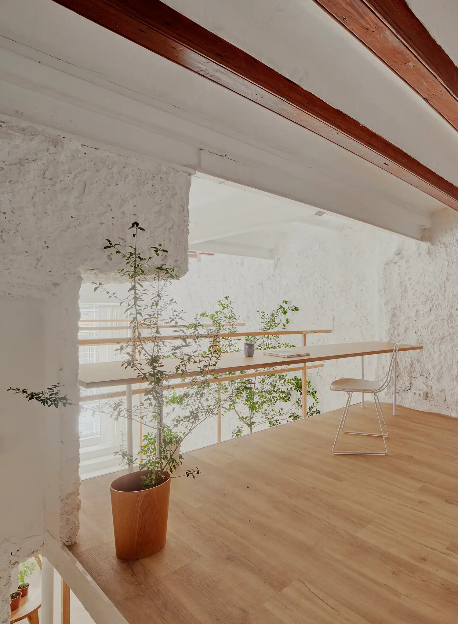 A wooden desk on the mezzanine level with a white chair, overlooking the tops of indoor trees and the void below.