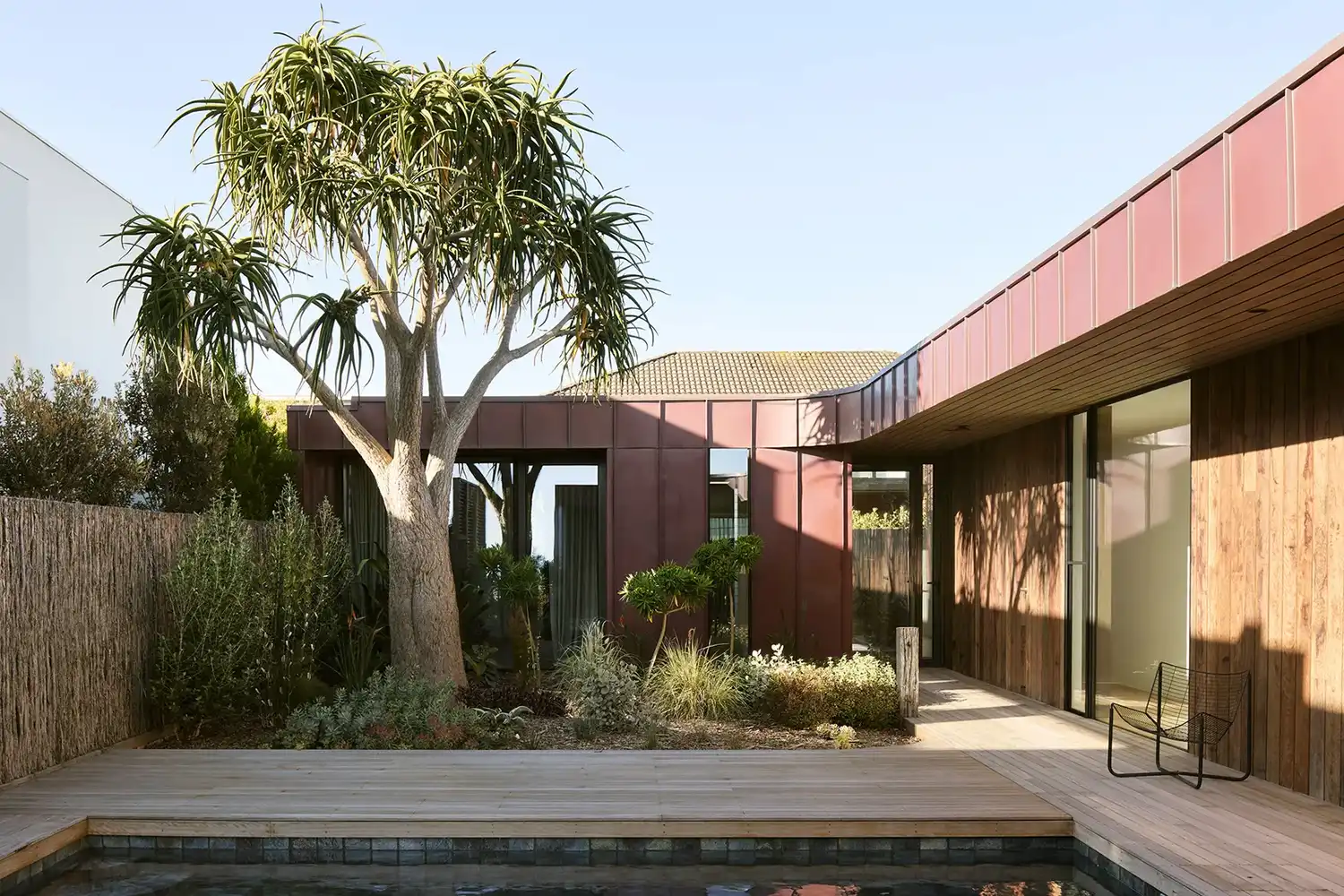 Landscaped courtyard at Coastal House with a sculptural tree, copper cladding, and timber walkways.
