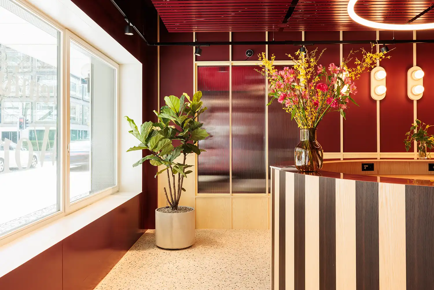 Striped timber reception desk with burgundy walls and indoor greenery