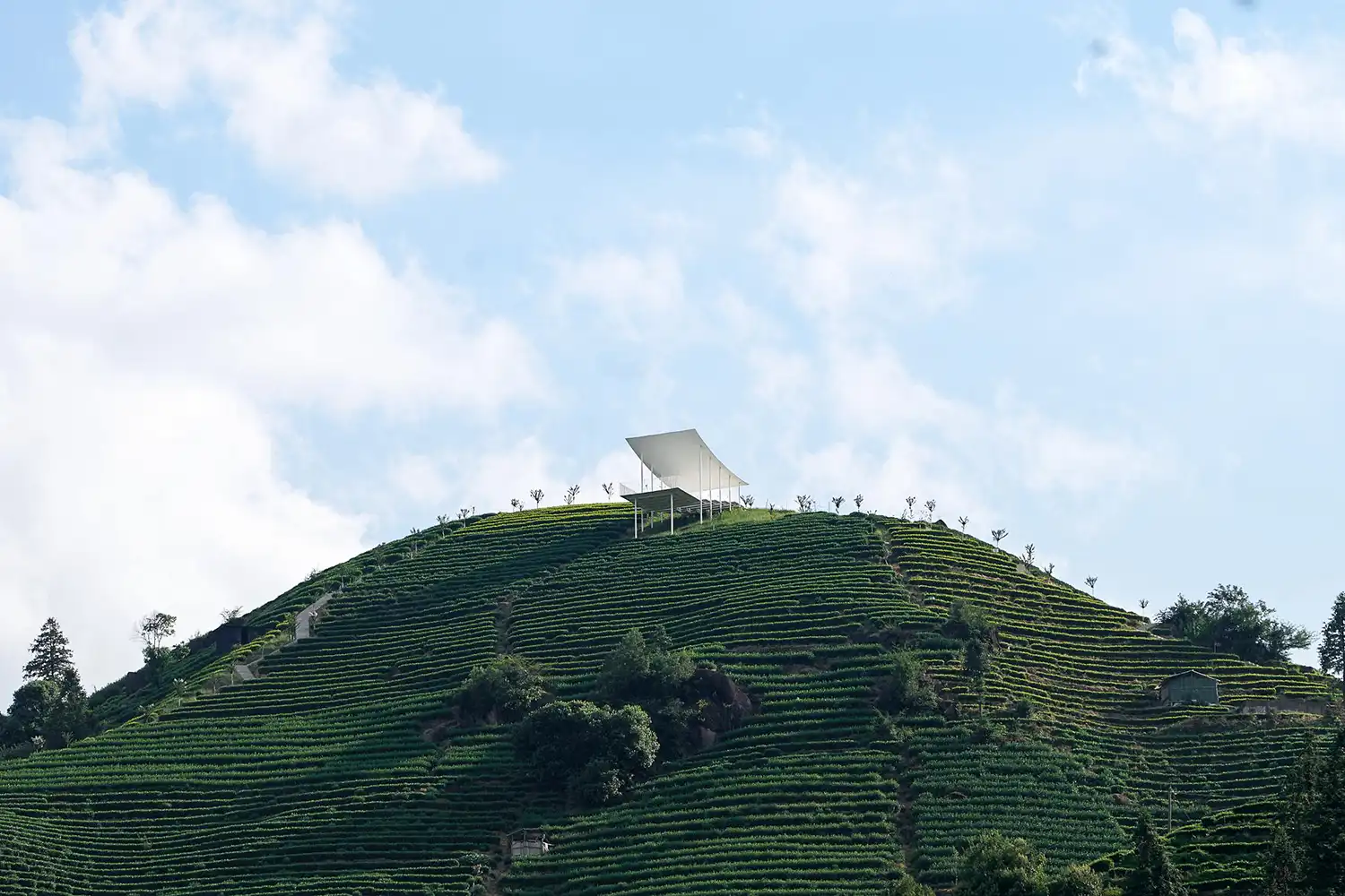 Long shot of a white curved pavilion standing on the peak of a steep, terraced green mountain under a blue sky.