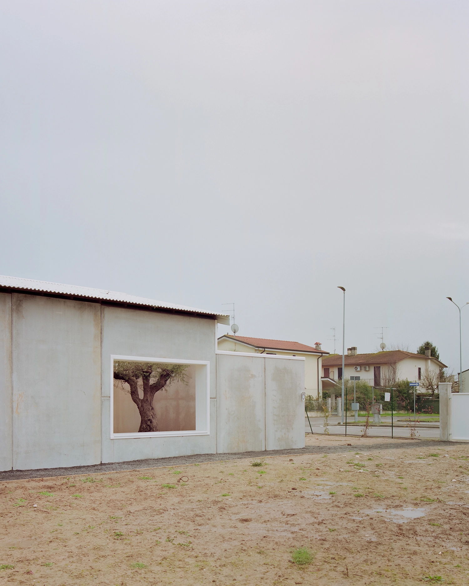 Exterior detail of a concrete wall on a muddy ground, showing a large, rectangular framed window that looks into an internal courtyard patio with an olive tree.