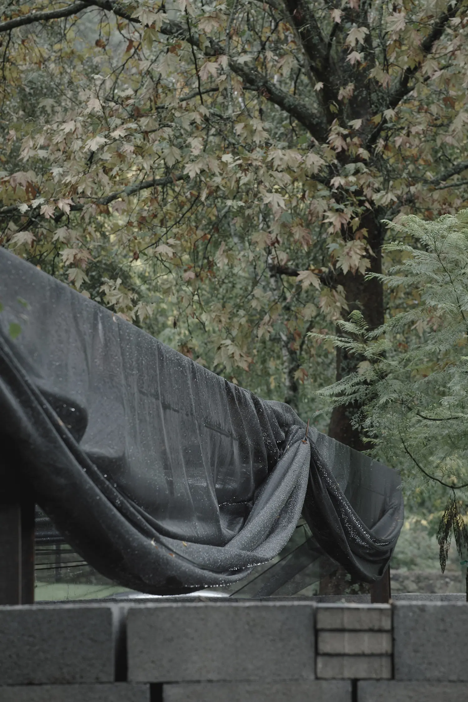 A close-up view focusing on the delicate, semi-translucent black mesh roof covering of the Rotação pavilion by Atelier Tiago Antero, supported by metal elements and framed by autumn leaves.