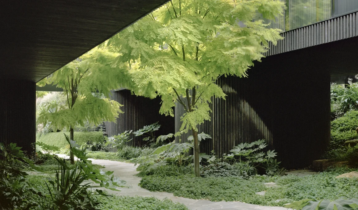 Low-angle view of a stone pathway winding through a lush garden beneath the dark timber undercroft of House in a Garden.