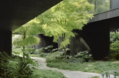 Low-angle view of a stone pathway winding through a lush garden beneath the dark timber undercroft of House in a Garden.