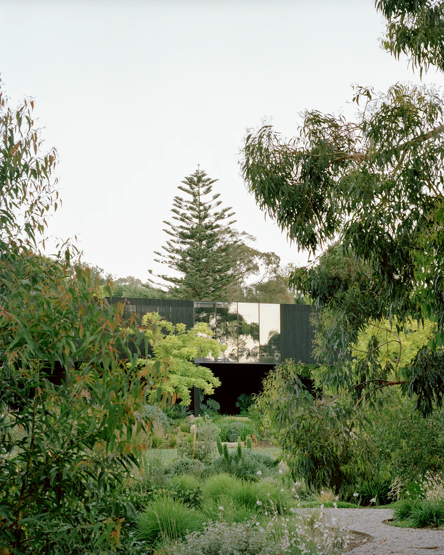 Exterior view of House in a Garden partially obscured by tall eucalyptus trees and native Australian plants.