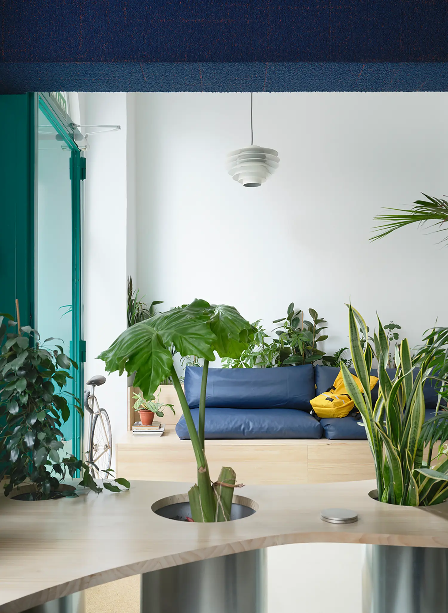 Minimalist office lounge area with a blue sofa, wooden platform, and lush tropical plants.