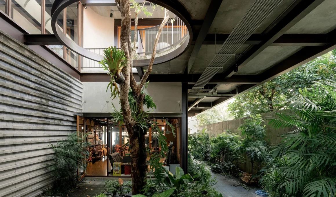 Vertical courtyard at H168 House with a steel horizontal circular void and a tree growing through the structure.