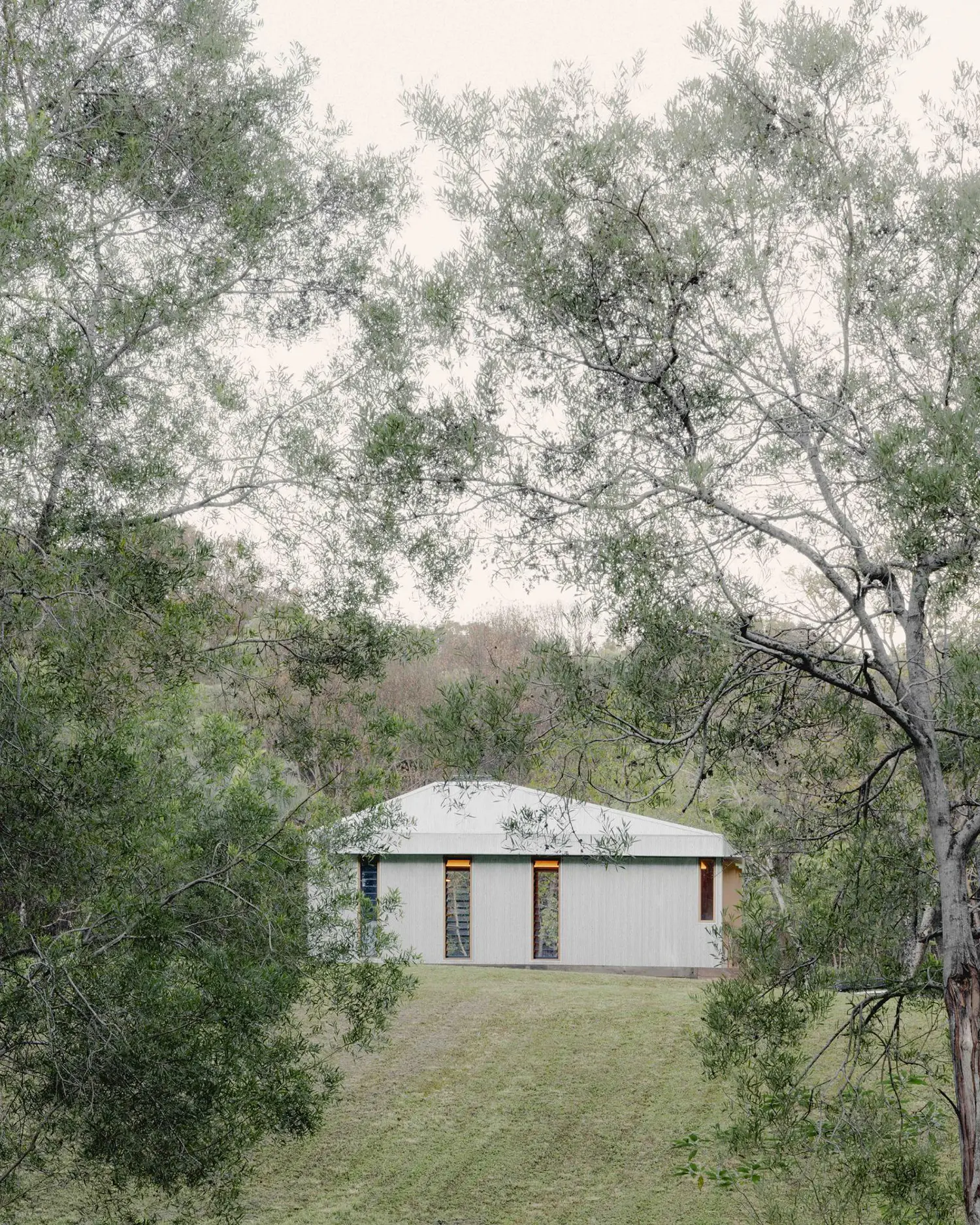 Distant view of the Oculus tiny home nestled among tall trees on a grassy slope in the Australian hinterland.