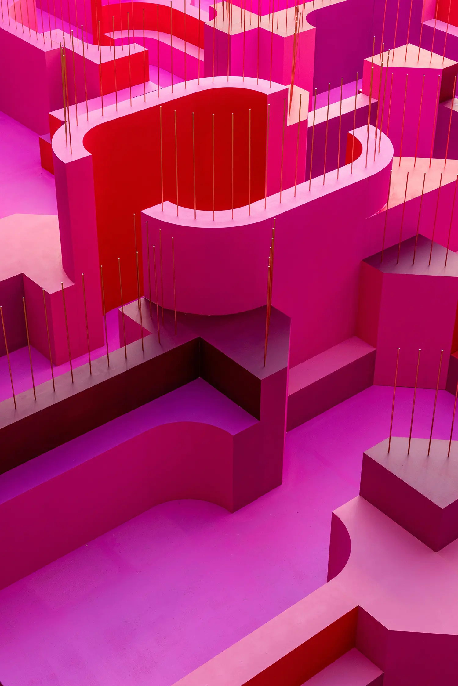 Abstract top-down view of overlapping pink curves and shadows within the labyrinth.