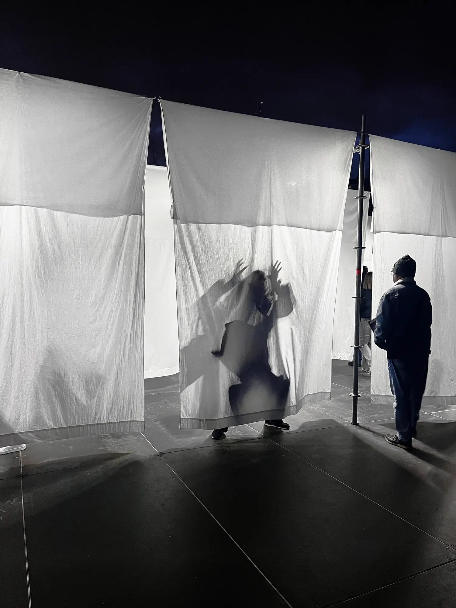 Silhouette of a person visible through a backlit white sheet, creating a shadow play effect.