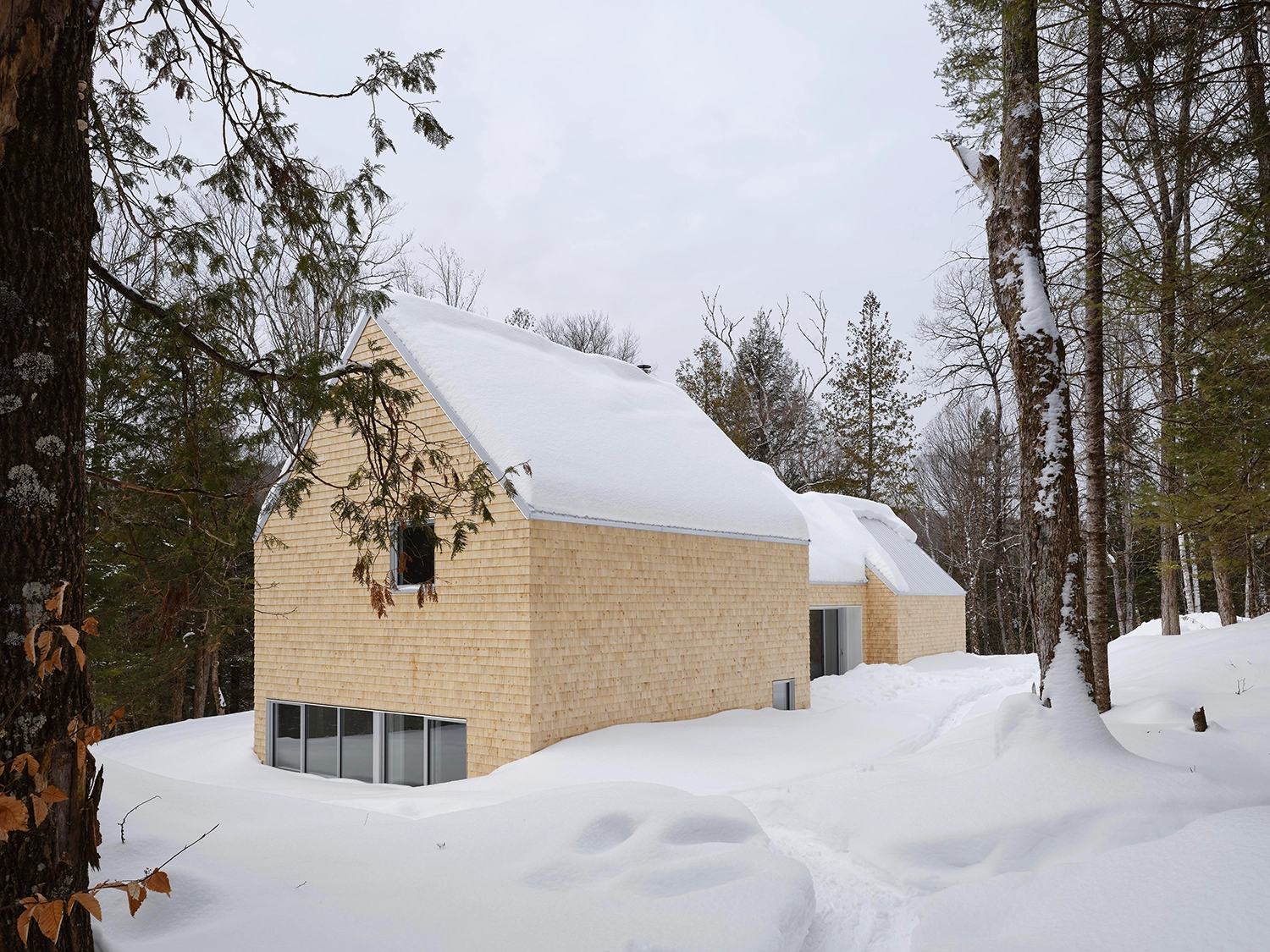 Three distinct wood-clad volumes of La Maraude cabin nestled among tall trees in a winter landscape.