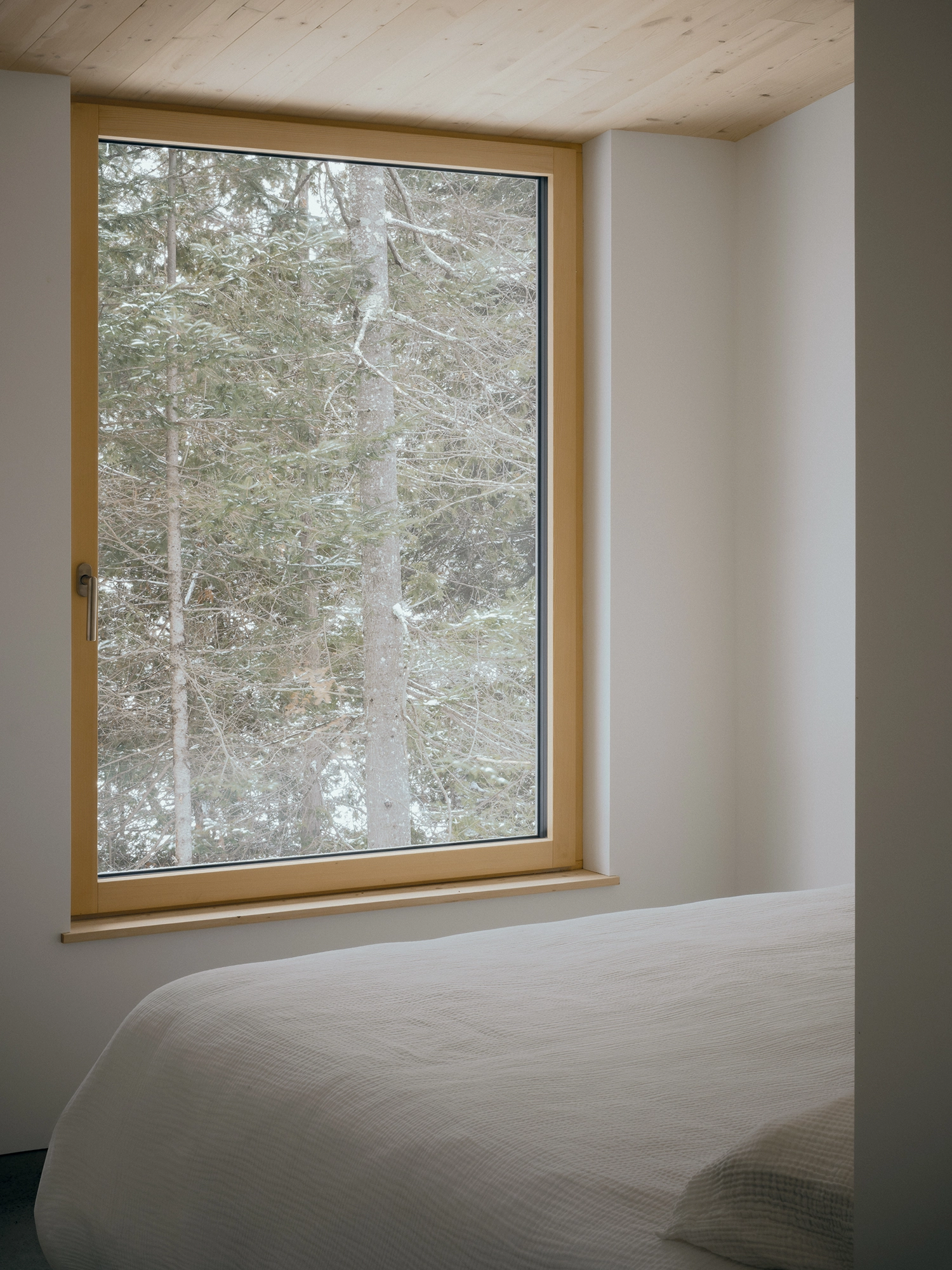 Bedroom with white walls and a large window framing a dense thicket of evergreen trees.