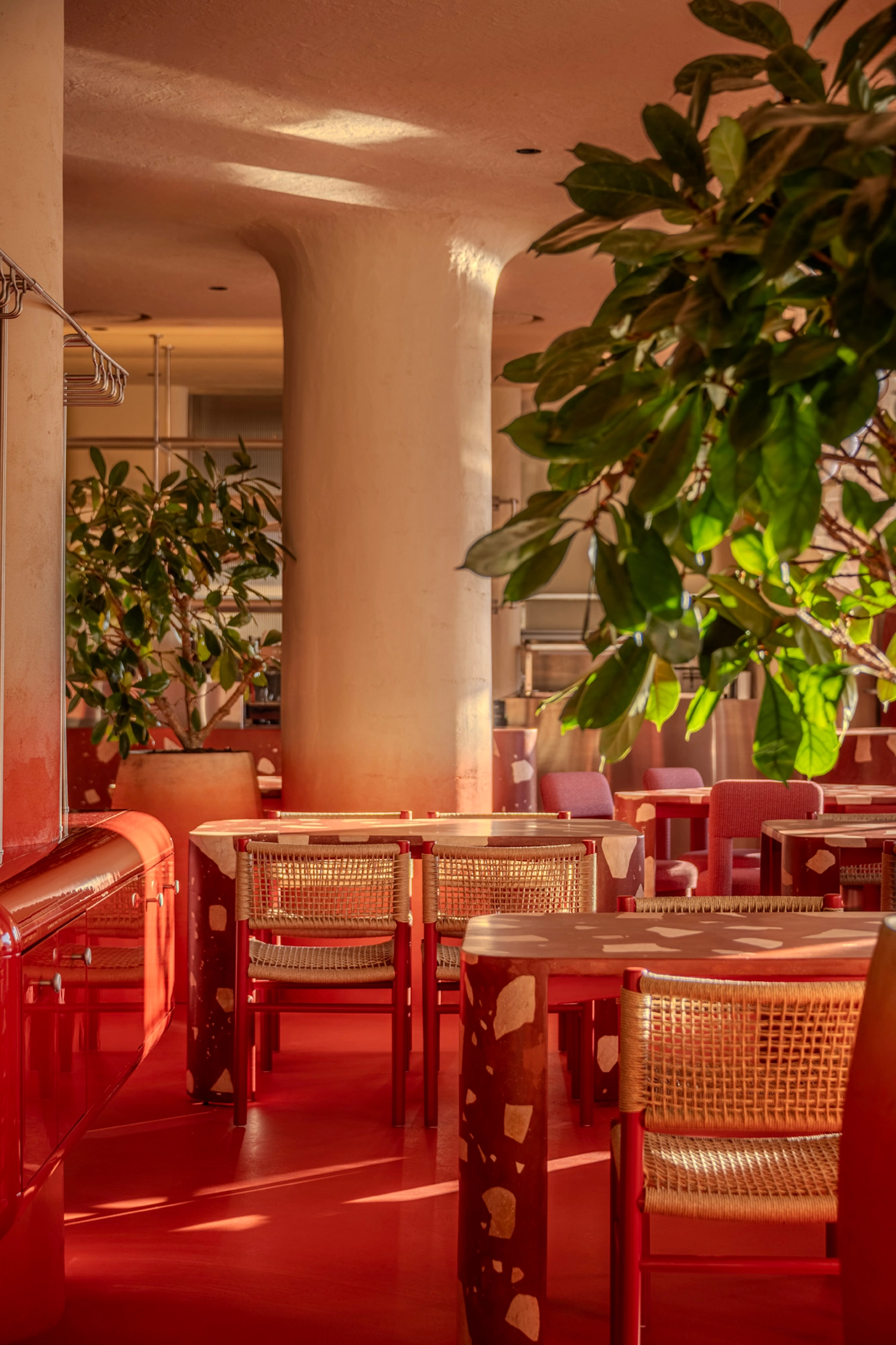 v\Detailed view of the red gradient walls and lush green indoor plants at Rosso restaurant.