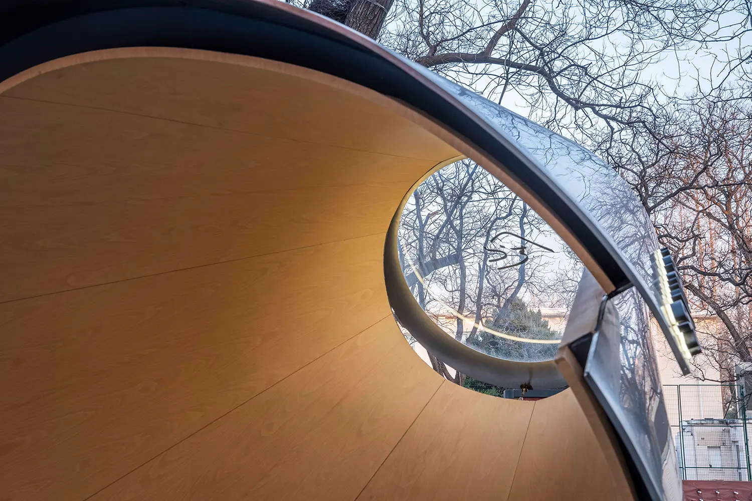 Low angle view looking through the circular skylight from the wooden interior toward bare tree branches.