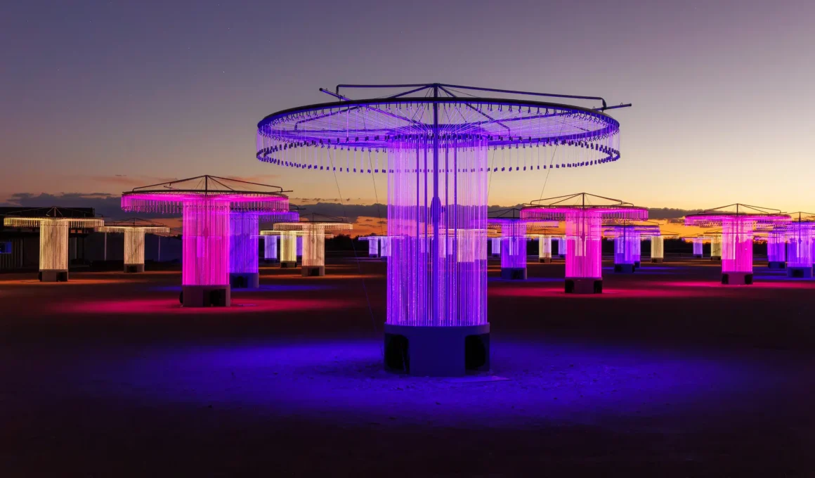 Bruce Munro's FOSO installation in Mildura featuring glowing purple and pink fiber-optic sculptures at twilight.